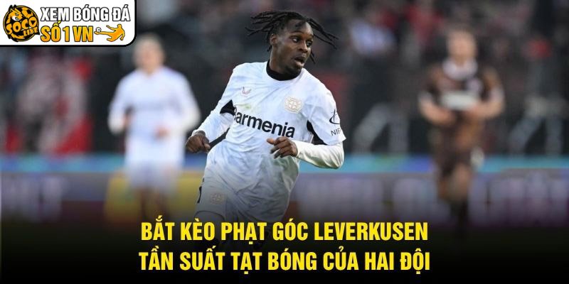 Bắt Kèo Phạt Góc Leverkusen – Tần Suất Tạt Bóng Của Hai Đội