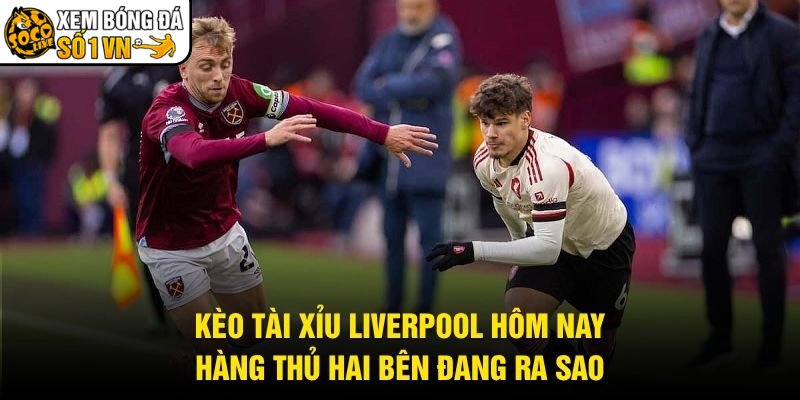 Kèo Tài Xỉu Liverpool Hôm Nay – Hàng Thủ Hai Bên Đang Ra Sao