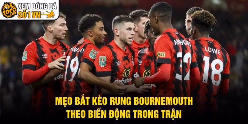 Mẹo Bắt Kèo Rung Bournemouth - Theo Biến Động Trong Trận