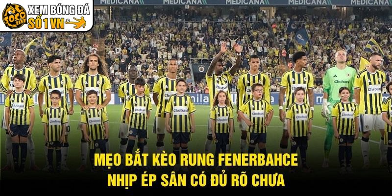 Mẹo Bắt Kèo Rung Fenerbahce – Nhịp Ép Sân Có Đủ Rõ Chưa