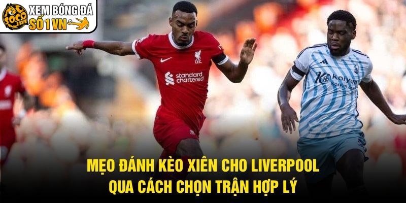Mẹo Đánh Kèo Xiên Cho Liverpool – Qua Cách Chọn Trận Hợp Lý
