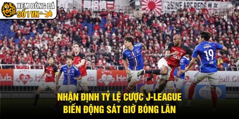 Nhận Định Tỷ Lệ Cược J-League - Biến Động Sát Giờ Bóng Lăn
