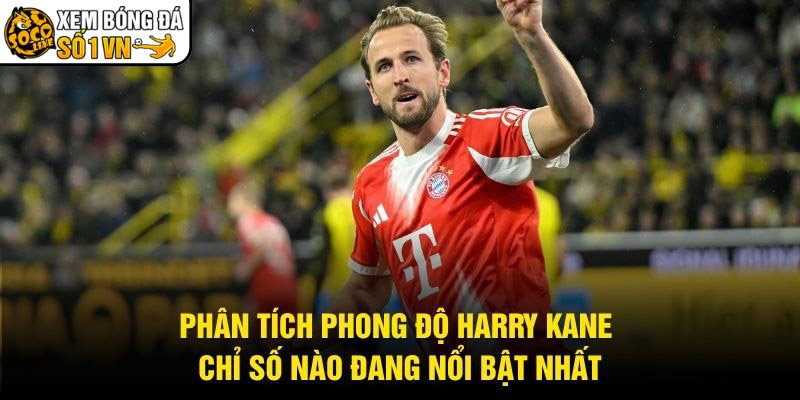 Phân Tích Phong Độ Harry Kane – Chỉ Số Nào Đang Nổi Bật Nhất