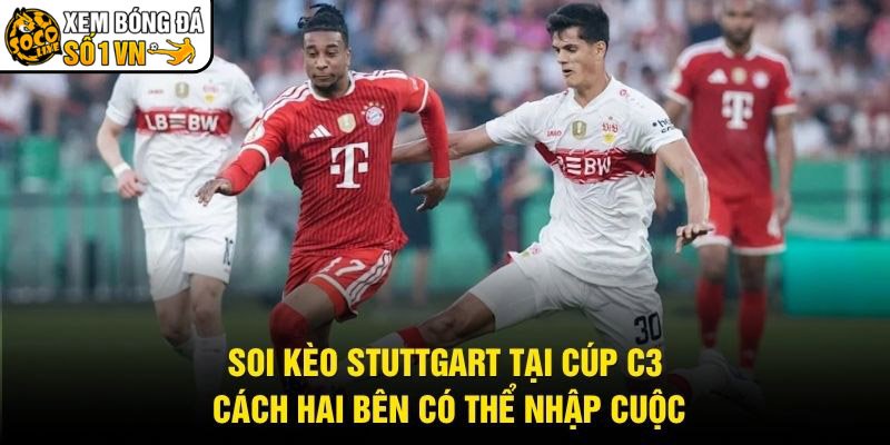 Soi Kèo Stuttgart Tại Cúp C3 – Cách Hai Bên Có Thể Nhập Cuộc
